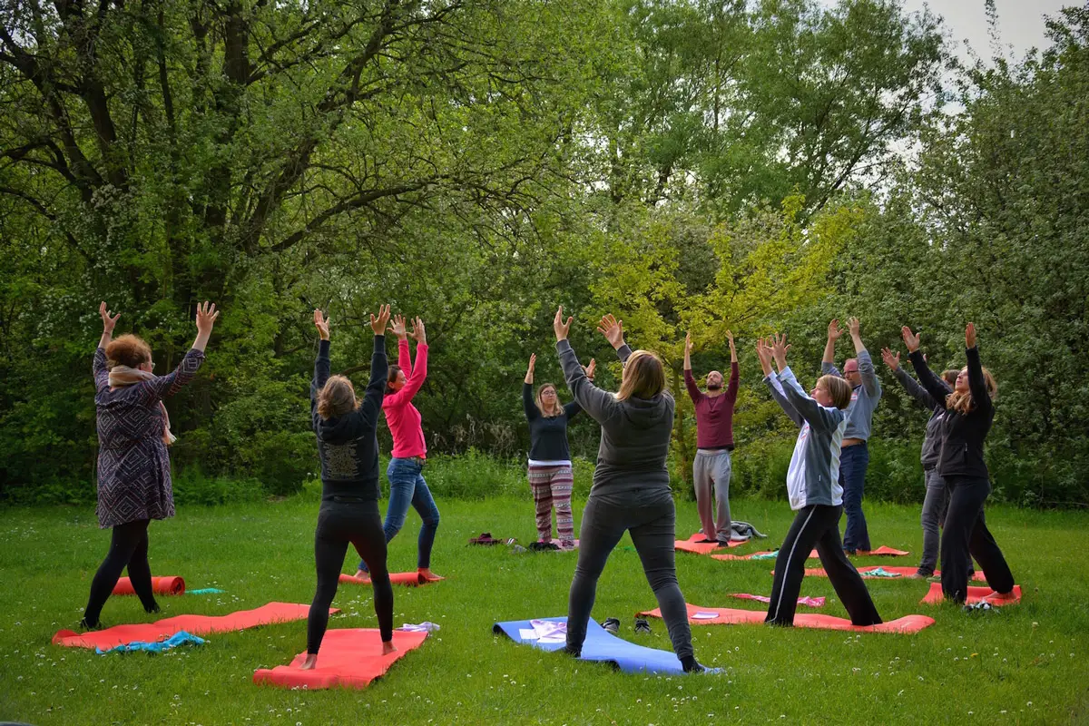 Team bei einer achtsamen Offsite-Teamaktion in der Natur – gemeinsame Auszeit zur Förderung von Fokus und Zusammenhalt