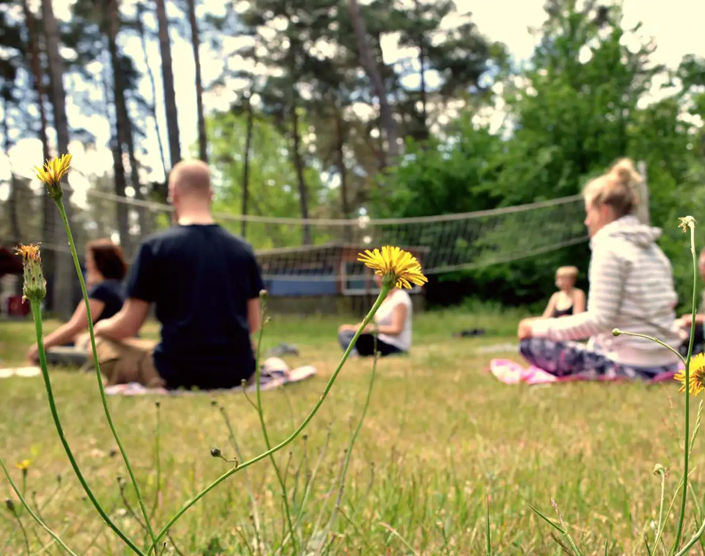 Bei einem Team-Retreat sitzt eine Gruppe auf einer Wiese in der Natur und macht gemeinsam eine Achtsamkeits- oder Meditationsübung